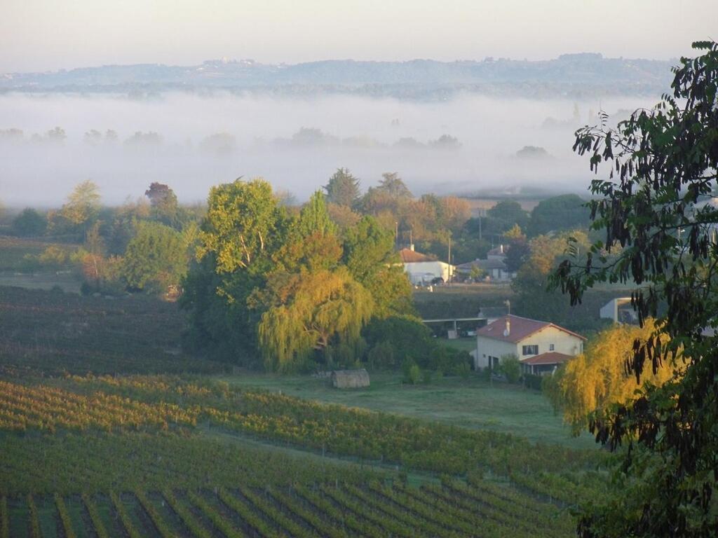 Romantic Gite Nr St Emilion With Private Pool And Views To Die For Pujols  Luaran gambar