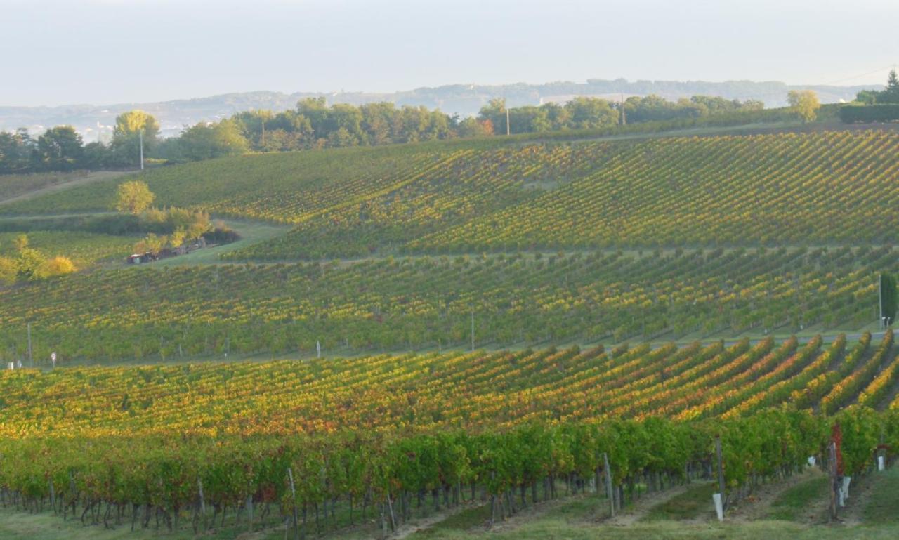 Romantic Gite Nr St Emilion With Private Pool And Views To Die For Pujols  Luaran gambar