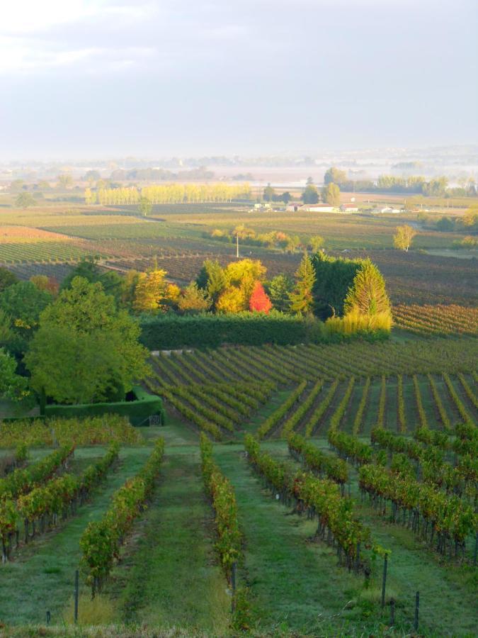 Romantic Gite Nr St Emilion With Private Pool And Views To Die For Pujols  Luaran gambar
