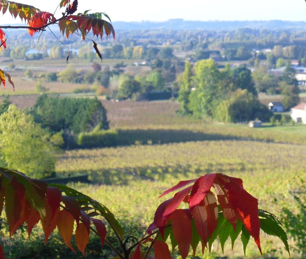 Romantic Gite Nr St Emilion With Private Pool And Views To Die For Pujols  Luaran gambar