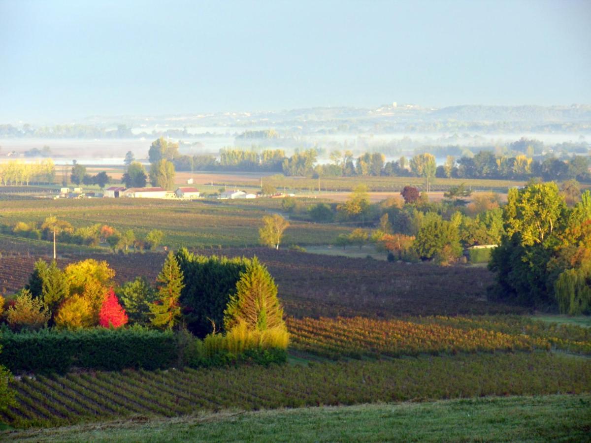 Romantic Gite Nr St Emilion With Private Pool And Views To Die For Pujols  Luaran gambar