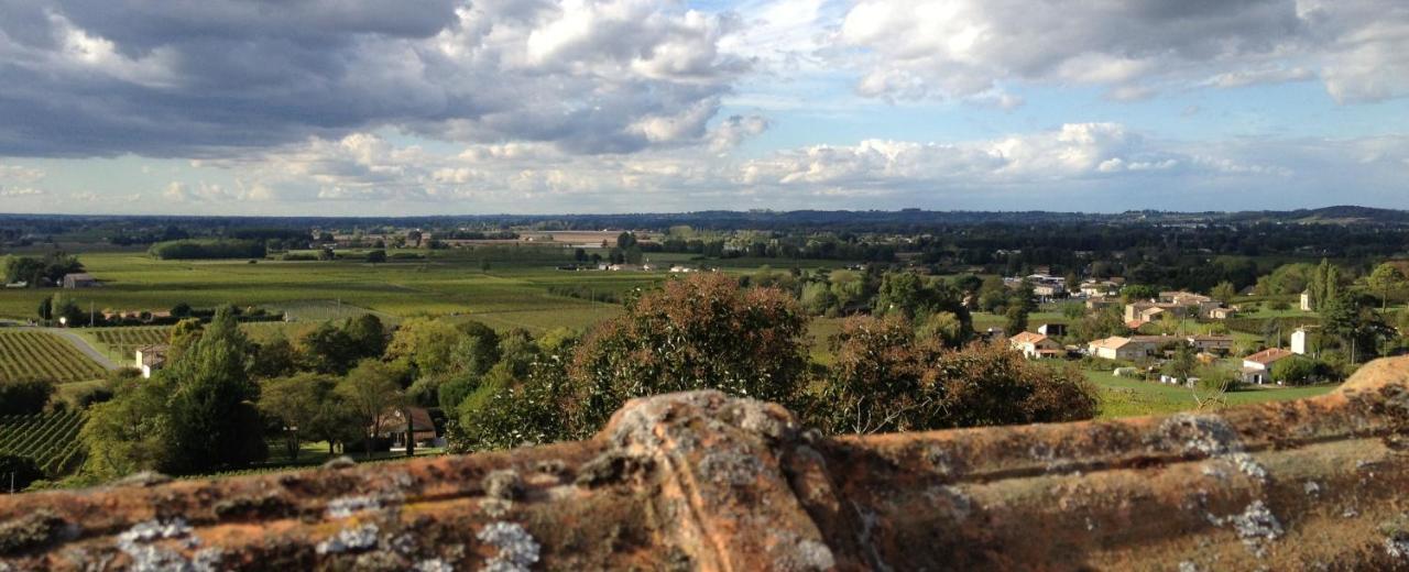 Romantic Gite Nr St Emilion With Private Pool And Views To Die For Pujols  Luaran gambar