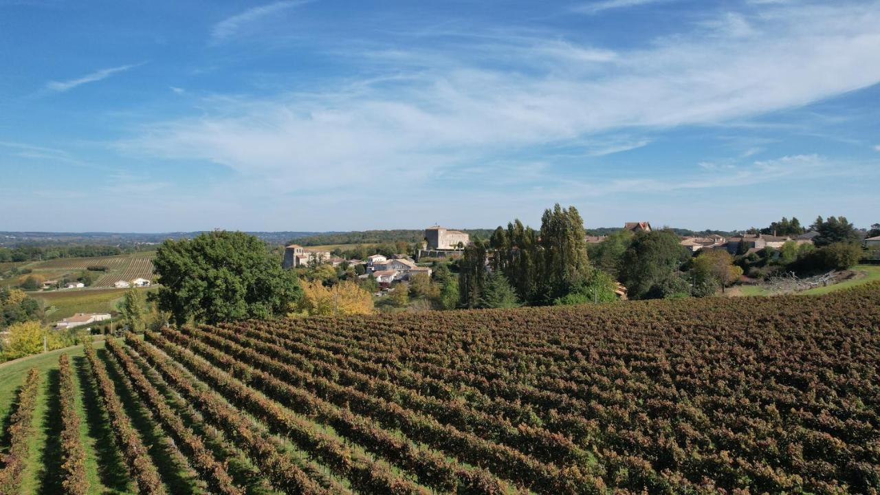 Romantic Gite Nr St Emilion With Private Pool And Views To Die For Pujols  Luaran gambar